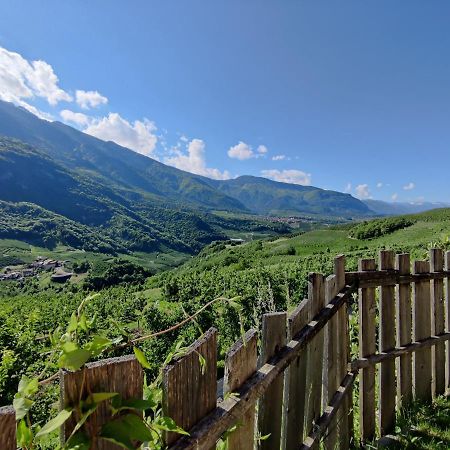 Bio Agritur Al Bait Villa Spormaggiore Kültér fotó