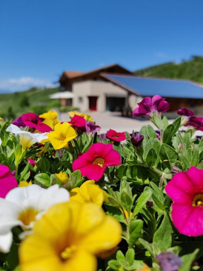 Bio Agritur Al Bait Villa Spormaggiore Kültér fotó